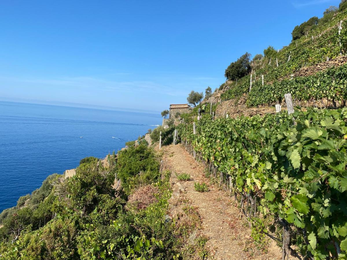 Apartmán Casa Natalina Monterosso al Mare Exteriér fotografie
